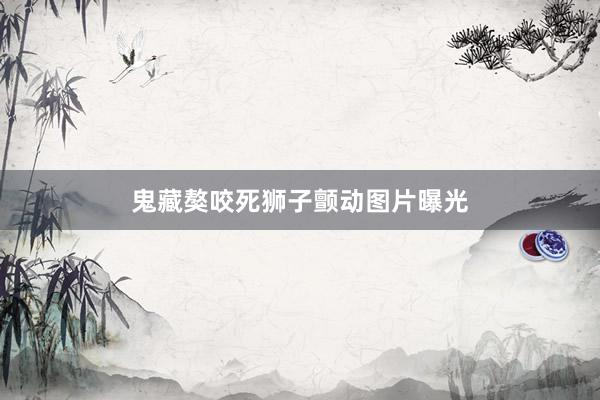 鬼藏獒咬死狮子颤动图片曝光