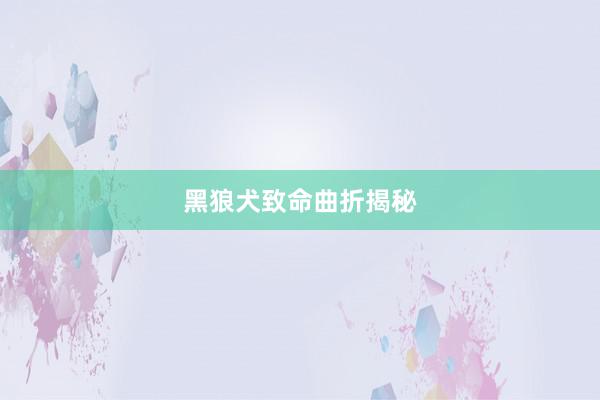 黑狼犬致命曲折揭秘